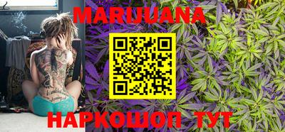 крисы Ставрополь