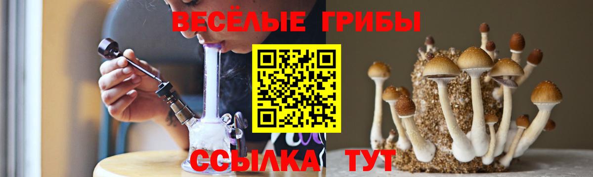 Псилоцибиновые грибы Cubensis Нягань